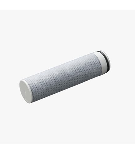BathSpring バスルーム浄水器 交換用フィルター BathSpring バスルーム浄水器 交換用フィルター 買取参考価格